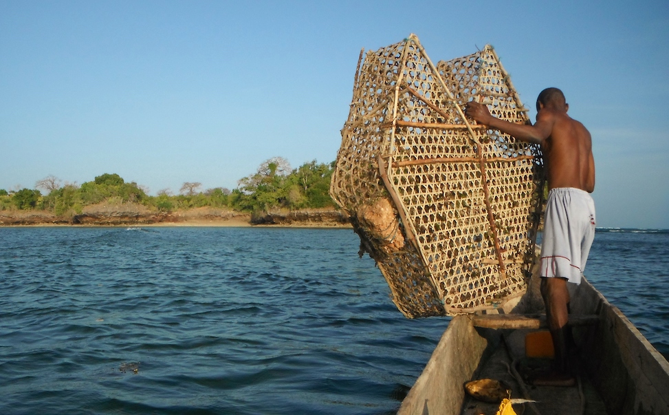 Achieving Coral Reef Fishery Sustainability in East African